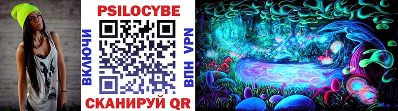 Купить  Пласт  Галлюциногенные грибы прущие грибы 